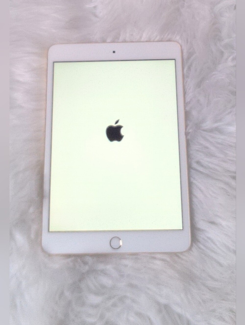 Apple iPad Mini 3rd Generation